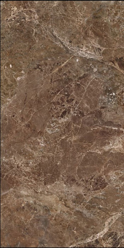 APE IMPERIAL BROWN ImperialBrownPolRect60X120 Глазурованный керамогранит купить в интернет-магазине Сквирел