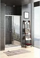 Aquanet Delta NPE6121 Душевая дверь