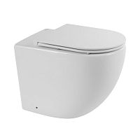 BelBagno BB2141CBR/BB870SC Унитаз приставной безободковый с быстросъемным сидением с микролифтом SFERA-R