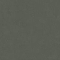 LEONARDO 1502 CODE CdLead120 Неглазурованный керамогранит