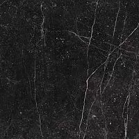 Керамогранит Imola Genus GNSG 60N LP 60x60 (Gnsg60nlp) купить в интернет-магазине Сквирел