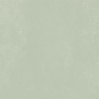 IMOLA CERAMICA MYCRO Mycro60AgRm Неглазурованный керамогранит