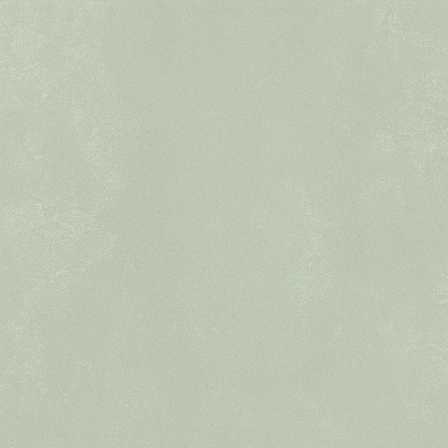 IMOLA CERAMICA MYCRO Mycro60AgRm Неглазурованный керамогранит купить недорого в интернет-магазине Сквирел