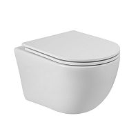 Cezares LINER CZR-3806-53-TH-TOR/SC Унитаз подвесной с сиденьем