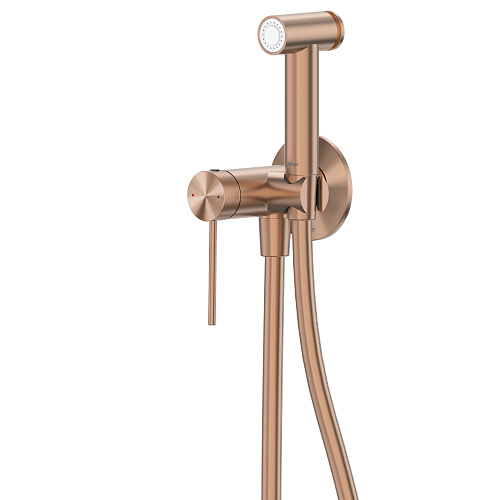 Abber Emotion 316 AF8825BRG Смеситель с гигиеническим душем Abber Emotion 316 AF8825BRG Смеситель с гигиеническим душем