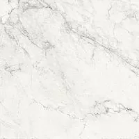 La Faenza Aesthetica AeCal6120Lp 120x120 Неглазурованный керамогранит