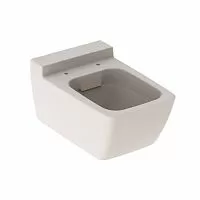 Geberit 500.500.01.1 Xeno2 Унитаз подвесной (чаша) 35х54 см, без ободка, белый