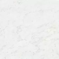 La Faenza Aesthetica AeCal6120Rm 120x120 Неглазурованный керамогранит