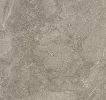 Керамогранит Cristacer: Titanium_TitaniumBrown59.2x59.2 купить в интернет-магазине Сквирел