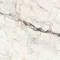 La Faenza Aesthetica AePao6120Lp 120x120 Неглазурованный керамогранит