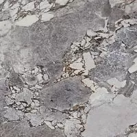 La Faenza Aesthetica AeUni6120Lp 120x120 Неглазурованный керамогранит