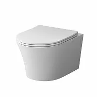 Damixa DX35C1700SC Skyline, Унитаз подвесной, безободковый, с сиденьем микролифт, белый