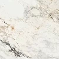 La Faenza Aesthetica AePao6120Rm 120x120 Неглазурованный керамогранит купить в интернет-магазине Сквирел