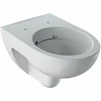 Geberit 203050000 Renova Подвесной унитаз (чаша) 36х54 см, безободковый Rimfree®, белый
